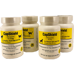 RXJ© CapShield Dog & Cat CapShield, RXJ, nitenpyram supplement, flea killer, fast flea killer, flea killer tablet, Pet Supplies, dog supplies, cat supplies, flea preventative, capstar