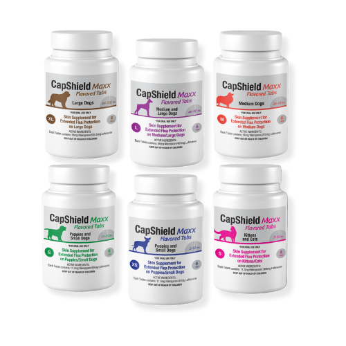 CapShield Maxx Flea Control for Dogs & Cats